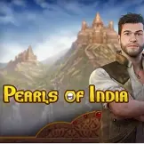 펄스 오브 인디아