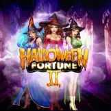 할로윈 포춘 투