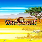 와일드 갬블러