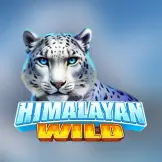 히말라얀 와일드