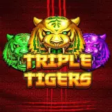 트리플 타이거스