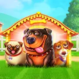 더 독 하우스 잭팟