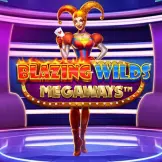 블레이징 와일즈 메가웨이즈