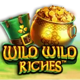 와일드 와일드 리치스