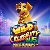와일드 셀러브리티 버스 메가웨이즈