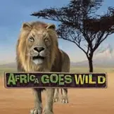 아프리카 고즈 와일드