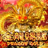 드래곤 골드
