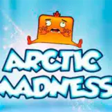 아크틱 매드니스