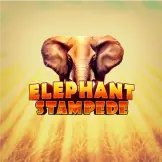엘리펀트 스탬피드