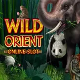 와일드 오리엔트
