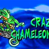크레이지 카멜레온즈