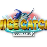 나이스 캐치 더블맥스